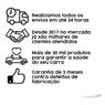 Descarbonizante Limpa Bicos Injetores E Carburadores 300 Ml