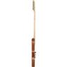 Guitarra Aria Pro II TEG-TL Natural