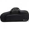 Saxofone Harmonics EB HAS-200L Alto Laqueado