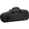 Saxofone Harmonics EB HAS-200L Alto Laqueado