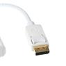 Adaptador Display Portátil Para Hdmi 15cm Storm