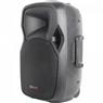 Caixa de Som Passiva HAYONIK CP-15600 600W Preta