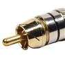 Conector Linha Rca Macho Metal Preto Storm 10 Unidades