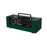 Amplificador Para Guitarra Vosstorm Swamp 23