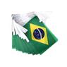 Varal de Bandeiras do Brasil Poliéster 20x30cm 6m