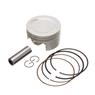 Pistao Kit C/anel Rik Premium Fazer 250  Std