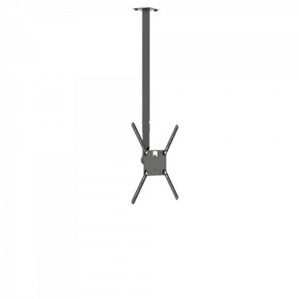 Suporte de Teto Para TV SKY100 19
