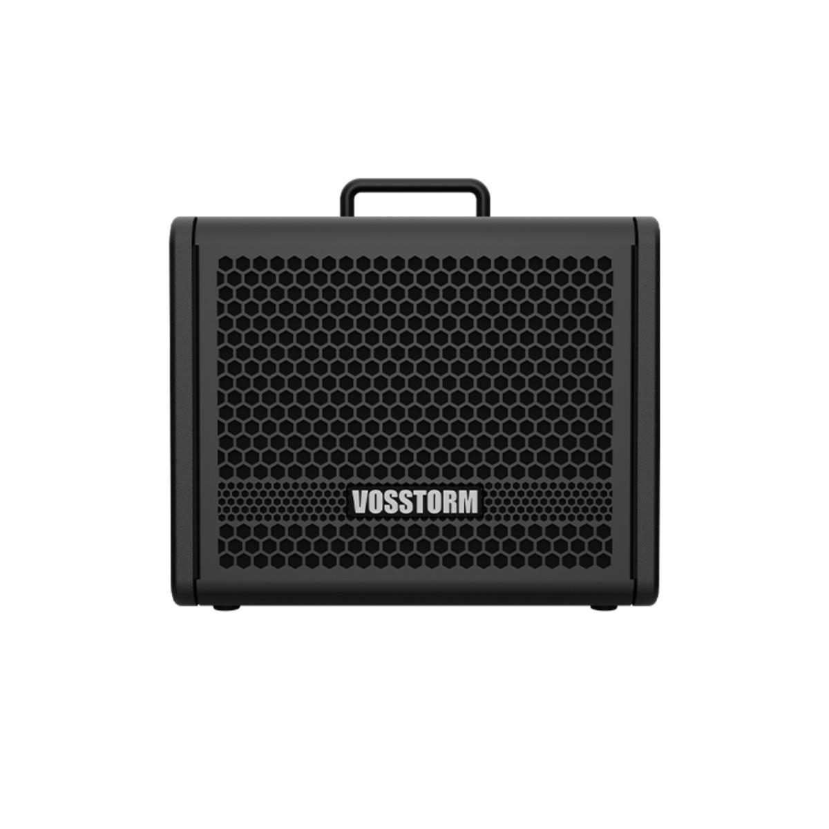Amplificador Para Guitarra 8 Pol 25w Vosstorm Gx-8