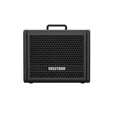 Amplificador Para Guitarra 8 Pol 25w Vosstorm Gx-8