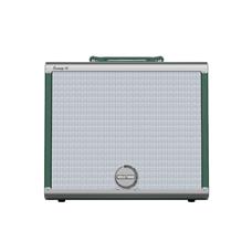 Amplificador Para Guitarra Frfr 250w Vosstorm Swamp 45